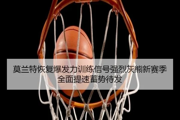 img_1783679894750_788_1_181.jpg